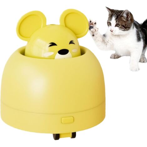 Jouets Interactifs pour Chats - Souris Rechargeables (1/5)