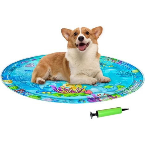 Tapis Sensoriel à Eau pour Chat - Tapis de Jeu Lit d'Eau (1/5)