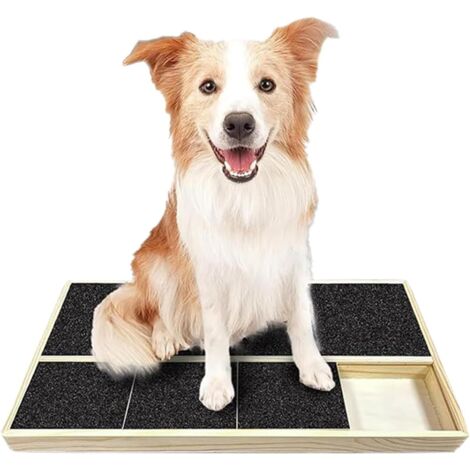 À Gratter pour Chiens, Planche À Gratter en Bois pour (1/5)
