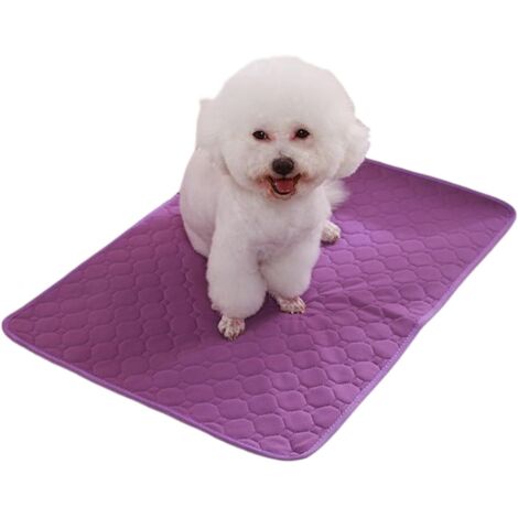 Tapis de dressage lavable pour chien PIPI Tapis (1/5)