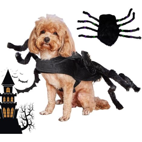 Costume de Cosplay pour Animaux de Compagnie Araignée - (1/5)