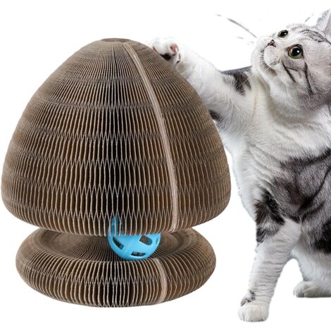 Planche à gratter pour Chat avec Balle, Orgue pour Chat (1/5)