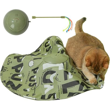 Jouet Interactif pour Chat Jouet D'Enrichissement avec (1/5)