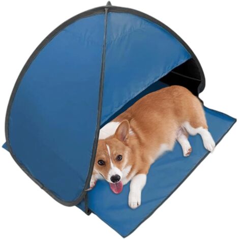 Protection solaire pour le petit avec protection solaire et (1/5)