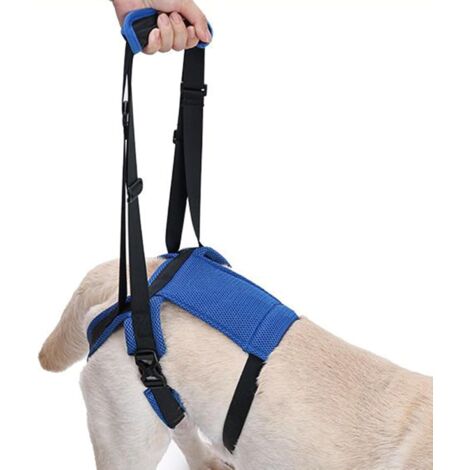 Harnais de levage pour chien - Aide à la marche arrière - (1/5)
