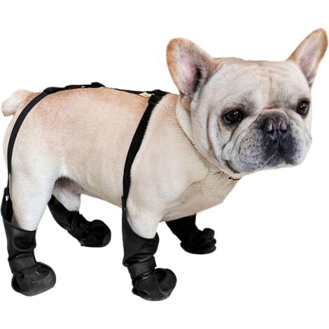 Bottes de transport pour chien, réglables, pour animaux de (1/5)