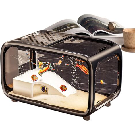 Aquarium de bureau Betta pour aquarium paysager, en