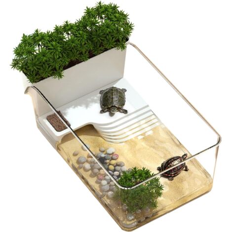 Aquarium pour tortues - Terrarium transparent pour tortues