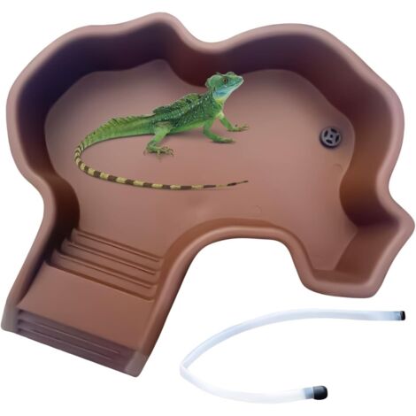 Baignoire pour tortues, tortues, baignoire avec rampe (1/5)