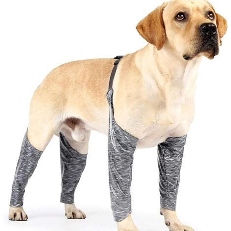 Support à Saucisses Acier Inoxydable Manche Bois Long Rack (1/5)