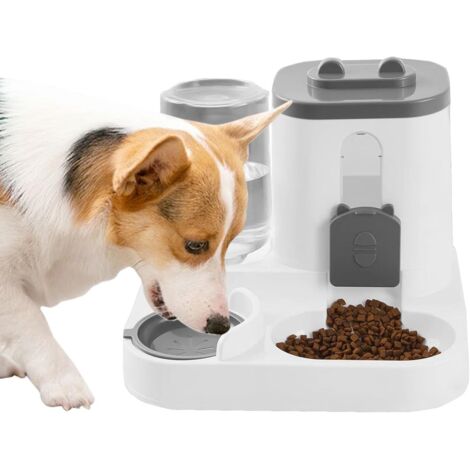 Distributeur automatique de nourriture pour chats (1/5)