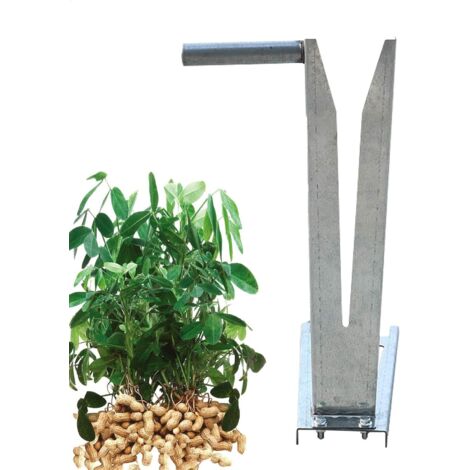 Outil de cueillette de noix - Outil de picking portable - (1/5)