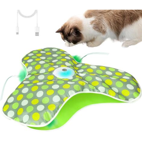lectrique pour Chats Jeu de Teasers Silencieux et Cach en (1/5)