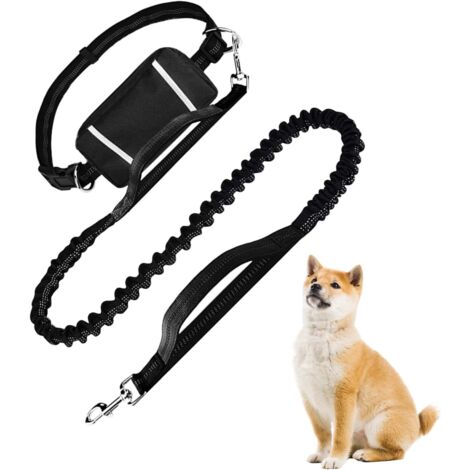 pour Chien Longe pour Chien avec Ceinture PortefeuilleSangle (1/5)