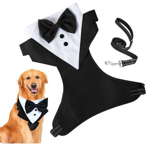 de Mariage pour Chien Tenue de Mariage pour ChienChemise nud (1/5)