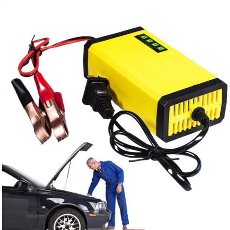 de la batterie chargeur de batterie 12 V haute efficacit (1/5)