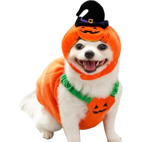 Citrouille pour ChienChapeau Citrouille pour Chiots Tenue (1/5)