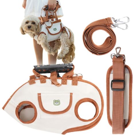 de mobilit pour chien Harnais de transport pour chien (1/5)