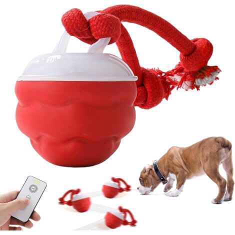 Interactive lectrique Roulante pour Chien Balle lectrique (1/5)