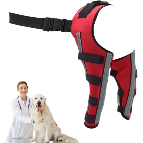 pour Chien Support Articul Rglable Soutien pour Membre (1/5)