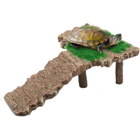 pour Tortues Plateforme De Repos Et Baignade pour (1/5)