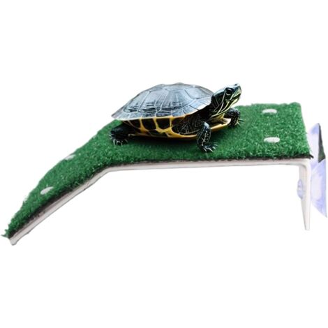 Station daccueil pour tortues aquatiques pour aquarium (1/5)