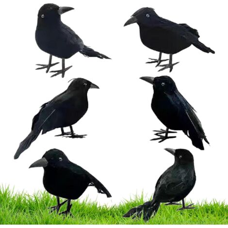 et corbeaux dHalloween Ornements effrayants plumes noires (1/5)