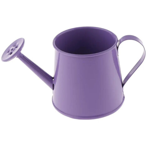 Arrosoir bonsa en mtal violet (1/5)