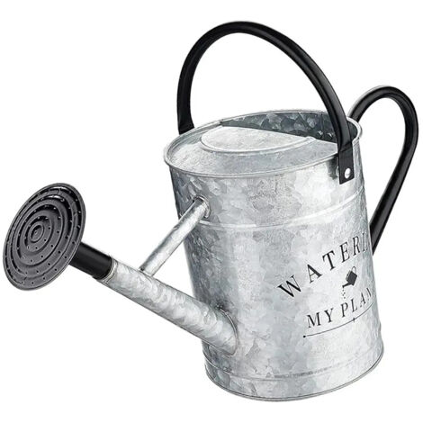 Arrosoir en mtal avec tte darrosage portable de 4 litres (1/5)