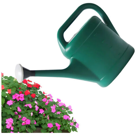 Plante Jiayi Long Peak Dxj arrose avec des fleurs 3 litres Dxj (1/5)