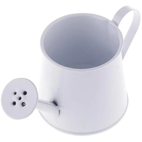 Arrosoir rustique en fer pots de fleurs blanc (1/5)