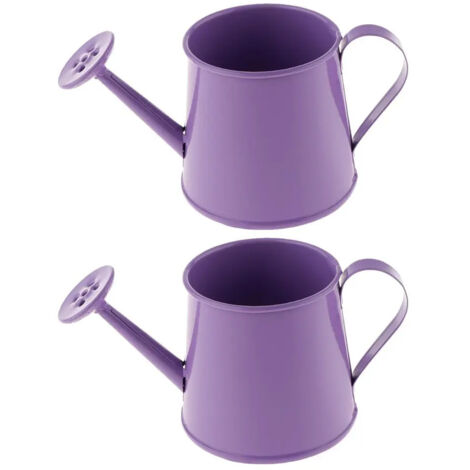Lot de 2 arrosoirs de jardin en mtal avec vaporisateur (1/5)