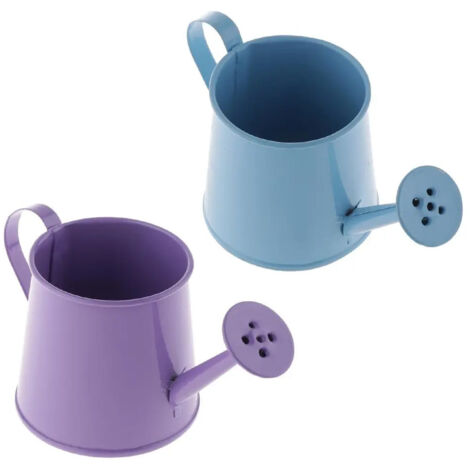 Lot de 2 arrosoirs long col en fer mini baril fleurs (1/5)