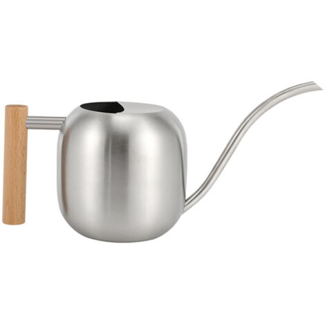 Arrosoir miniature en acier inoxydable avec long tuyau de 2 L (1/5)