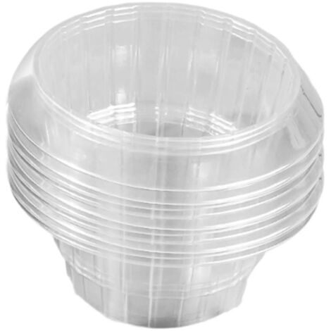 Plantes transparentes rutilisables (1/5)