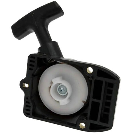 Démarreur de remplacement pour BG75 85 85 / FS75 80 (1/5)
