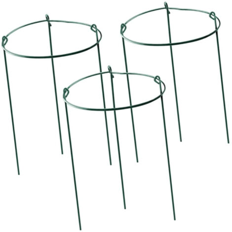 Lot de 3 cages fleurs avec support pour rosiers (1/5)