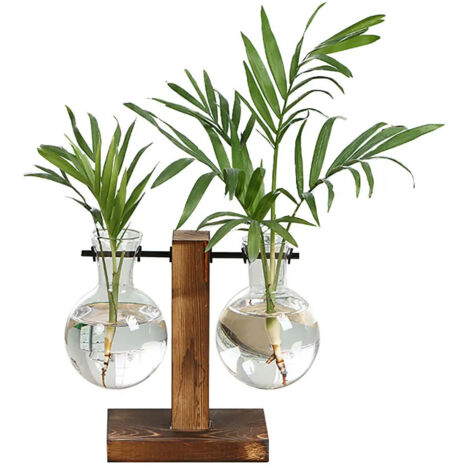 Pour Pots de fleurs vintage en verre avec cadre en bois (1/5)