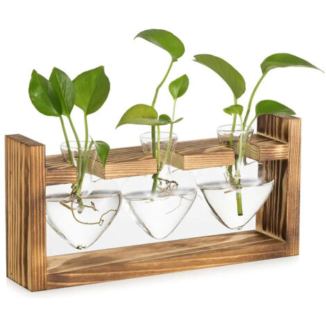 Station de multiplication des plantes en verre bocal vintage (1/5)