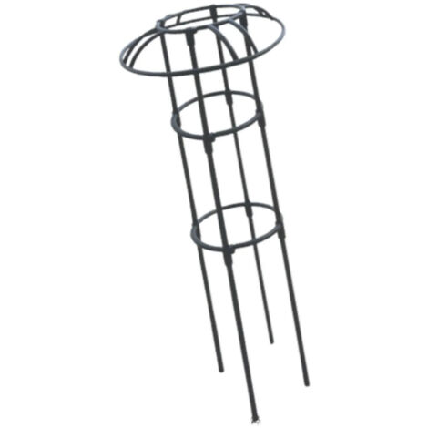 Support plantes de jardin en forme doblisque (1/5)