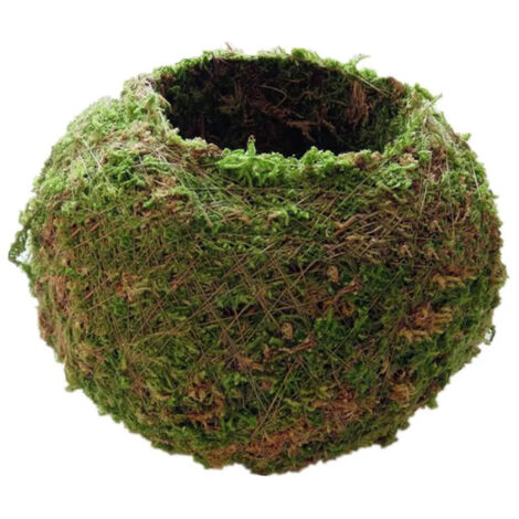 Support pour plante 12 cm (1/5)