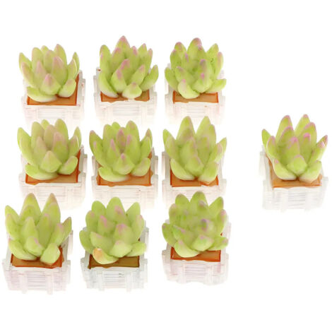 Ensemble miniature de 10 pièces dans un pot carré blanc (1/5)