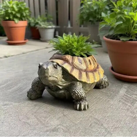 Pot de fleurs réaliste en forme de tortue avec plantes succulentes pour la décoration