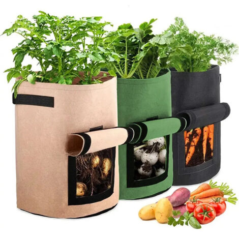 Support pour plantes à roulettes, robuste et mobile, en Fo (1/5)