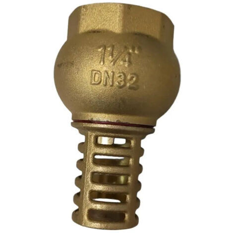 Filtre dentre de pompe DN32 (1/5)
