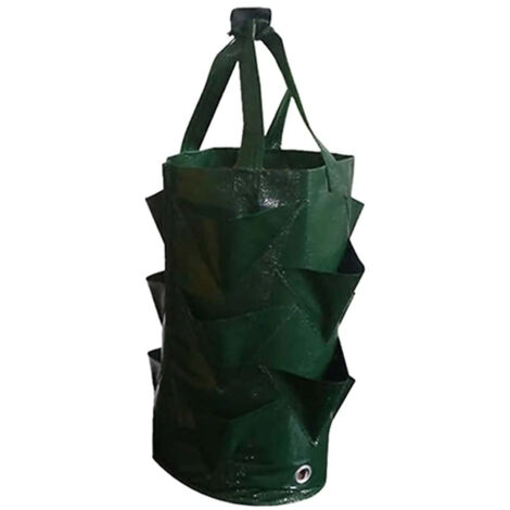 Bolsa Para De Fresas De 3 Galones Macetero Colgante Vert (1/5)