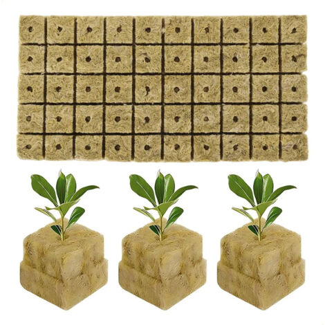 New50 Bloques Esponja Hidropona Para Plantulas Bbpp (1/5)
