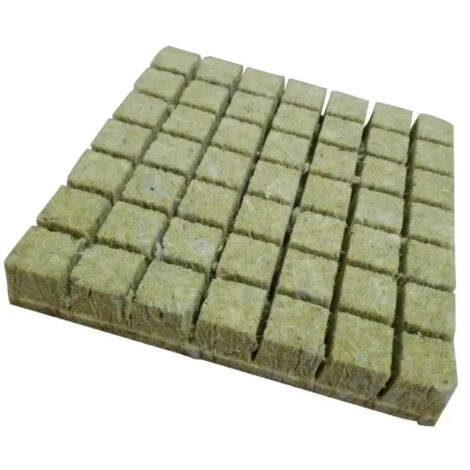 Planta De Cultivo Hidropnico De Esponja Plantada Zcmt (1/5)