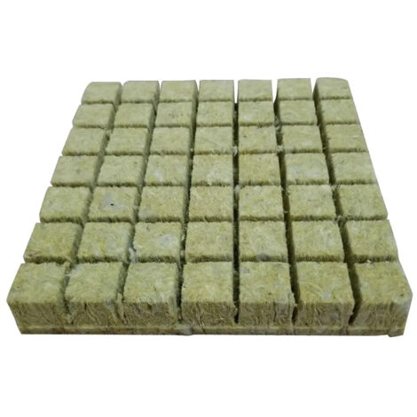Plantes Esponja Plantada Planta De Cultivo 36x40mm (1/5)