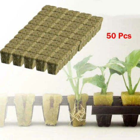 50/100 pièces de cubes de germination pour la culture et le clonage (1/5)